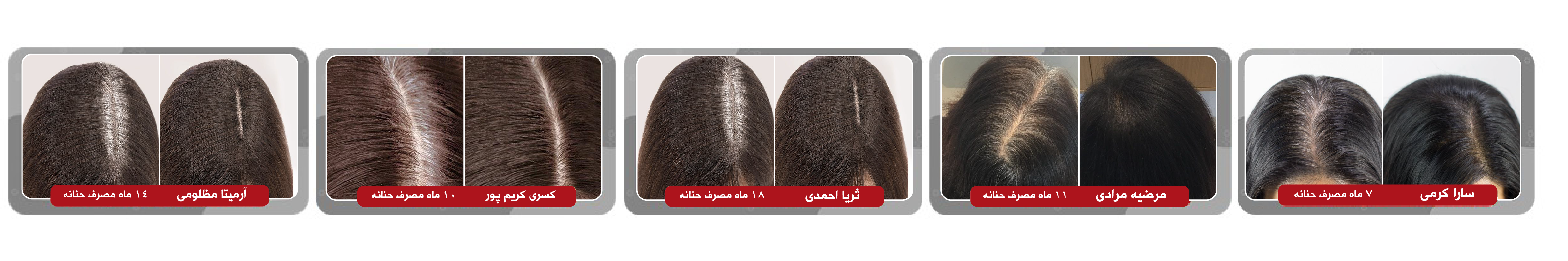 بیستلند شاپ